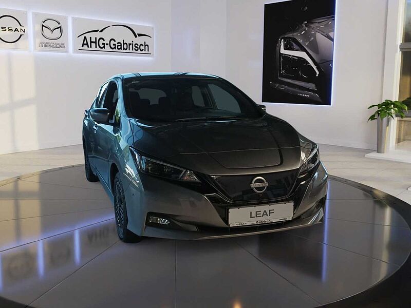 Nissan Leaf e+ Tekna, Winter-Paket