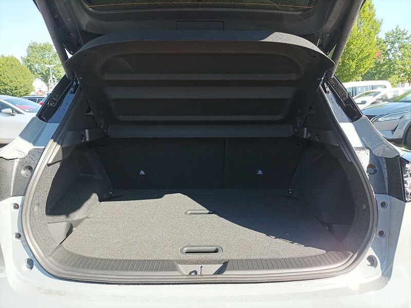 Nissan Qashqai Tekna+, 2Farben, Bose-Sound System