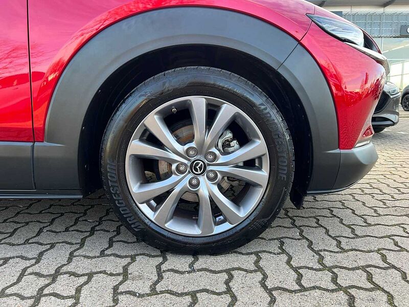 Mazda CX-30 Head up Display, 360° Kamera, Navi